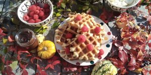Keto wafels