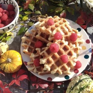 Keto wafels