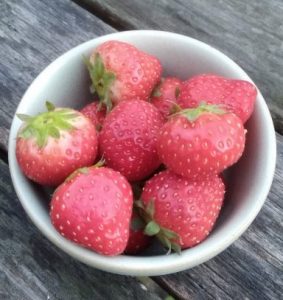 100 gram aardbeien