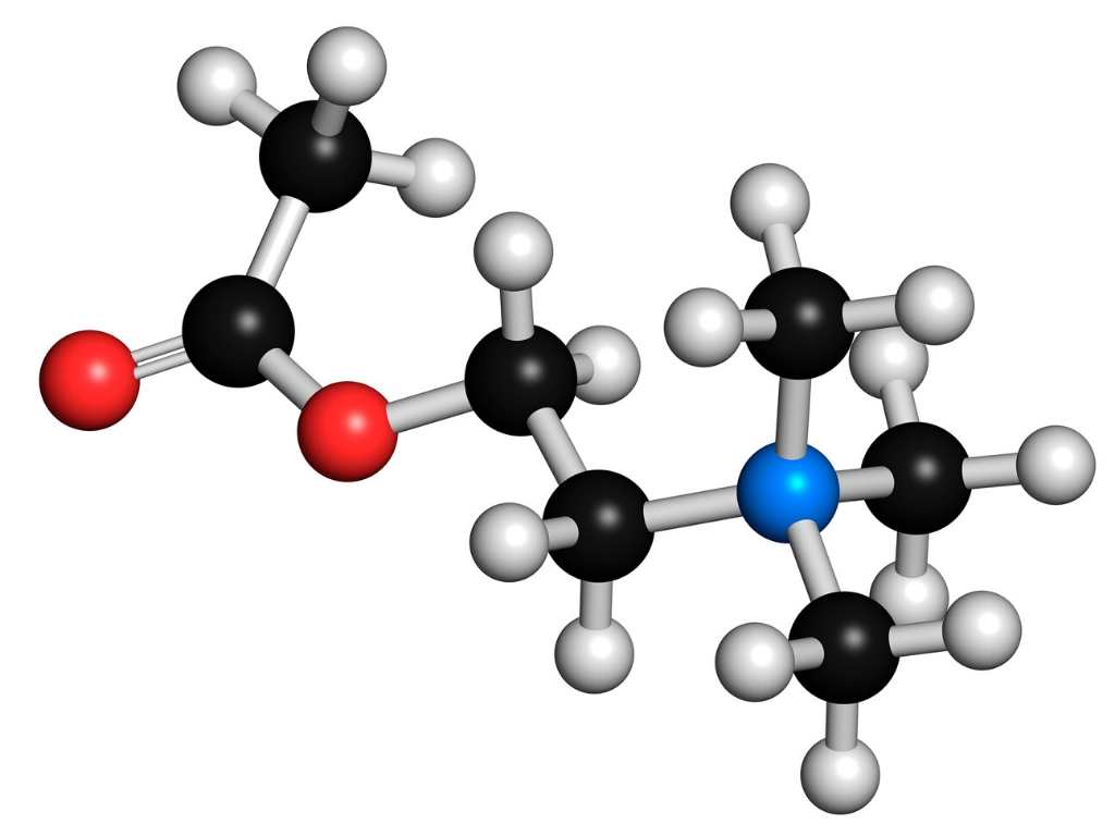 Acetylcholine